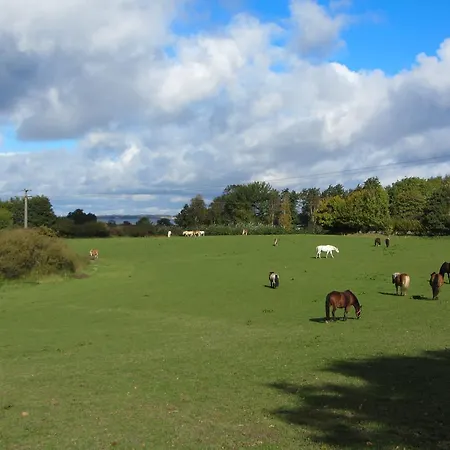 Lindenhof Habernis 스타인베르크