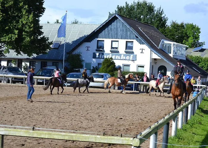 Lindenhof Habernis * Steinberg (Schleswig-Holstein)