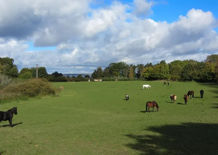 Lindenhof Habernis Steinberg (Schleswig-Holstein)